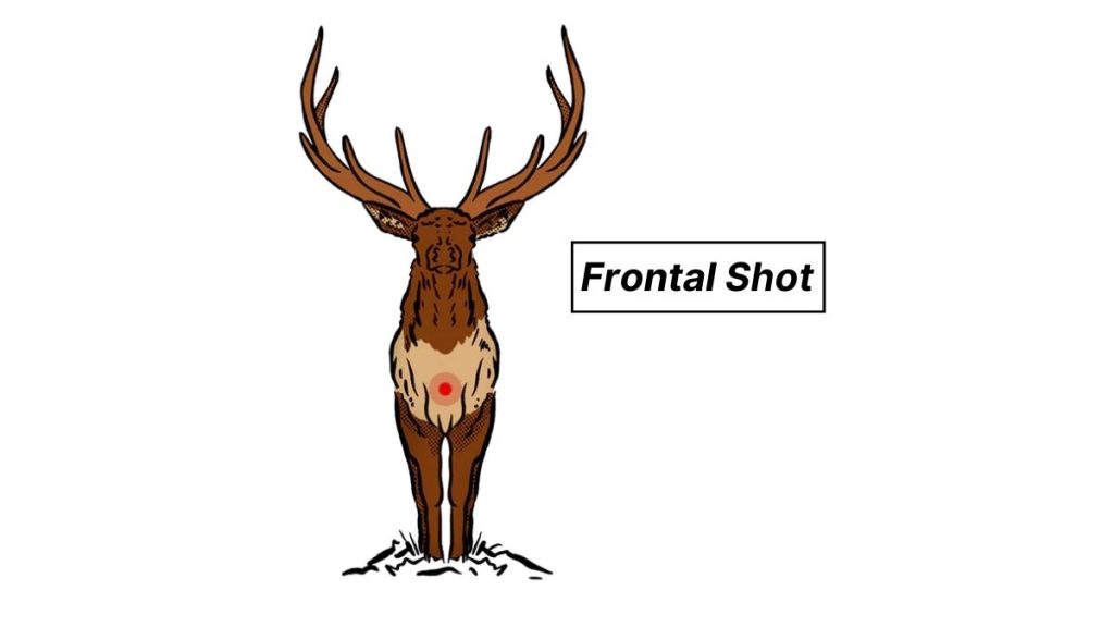 Frontal Shot on an Elk