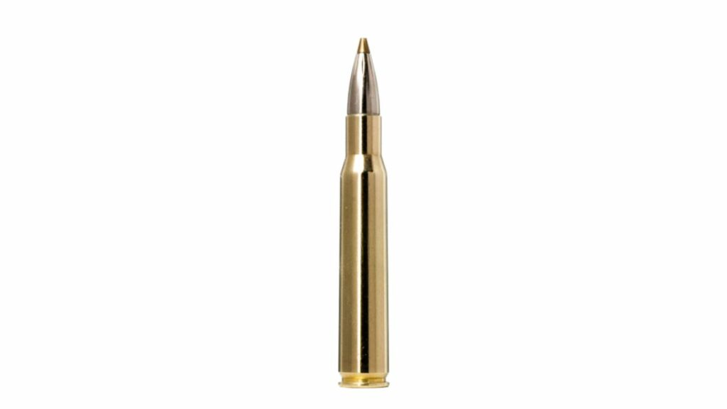 .30-06 Springfield caliber