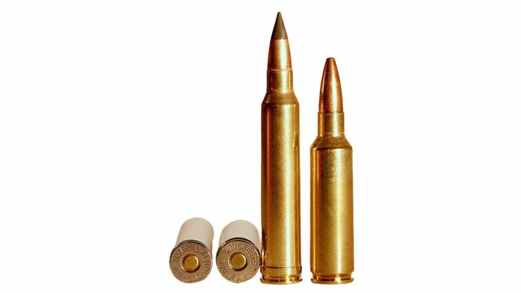 .300 winchester magnum caliber