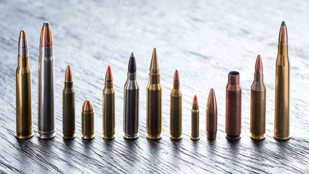 Rifle Calibers Different Sizes