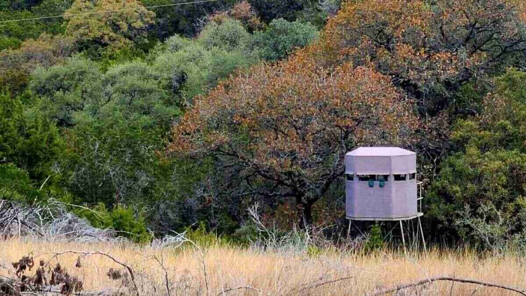 hunting blinds