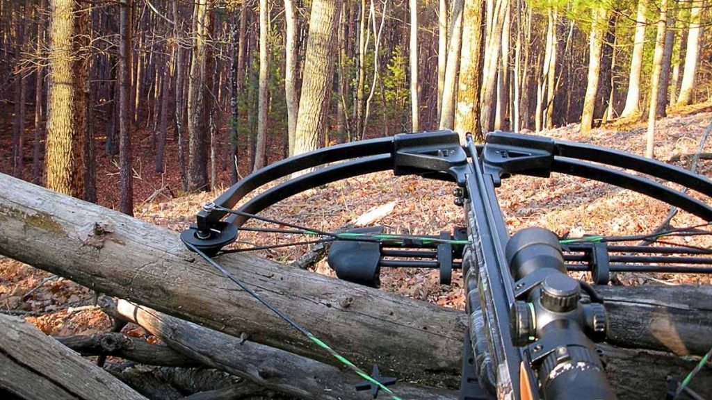 Crossbow ready to hunt in the forest