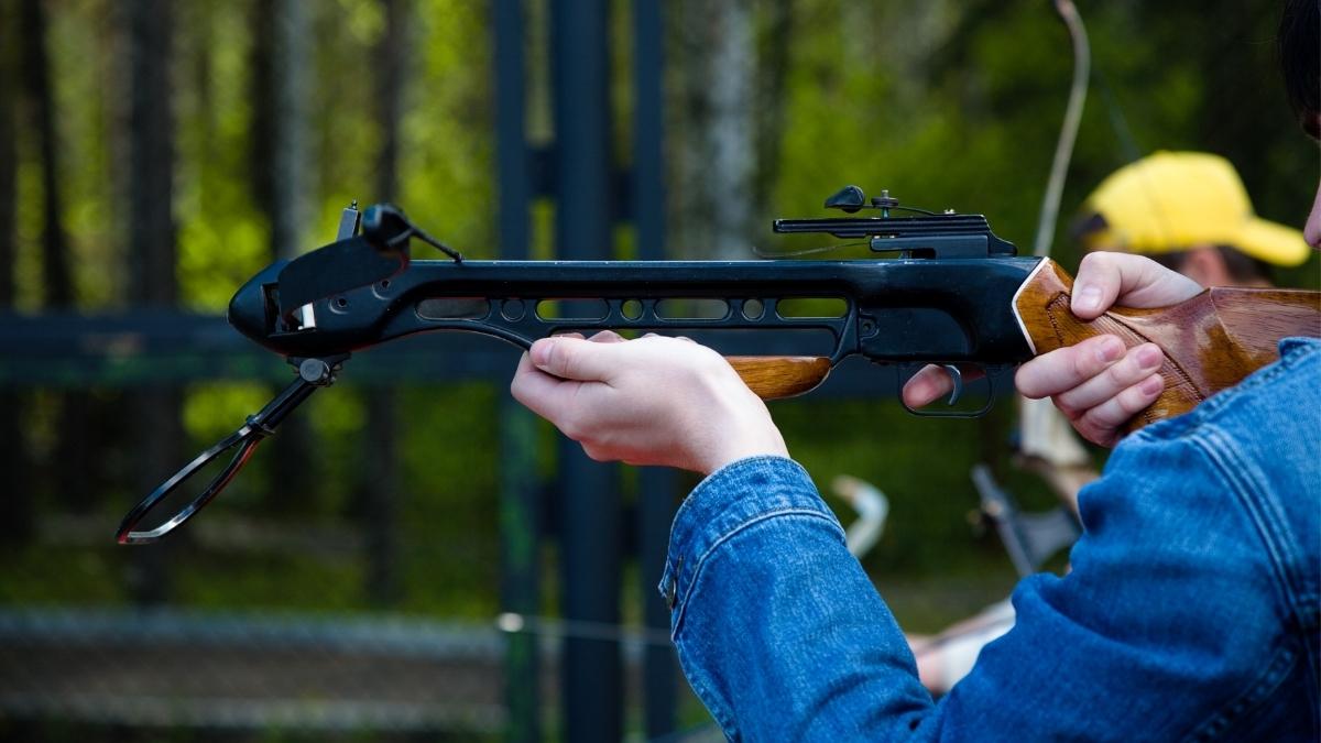 Choose bow or crossbow for hunting
