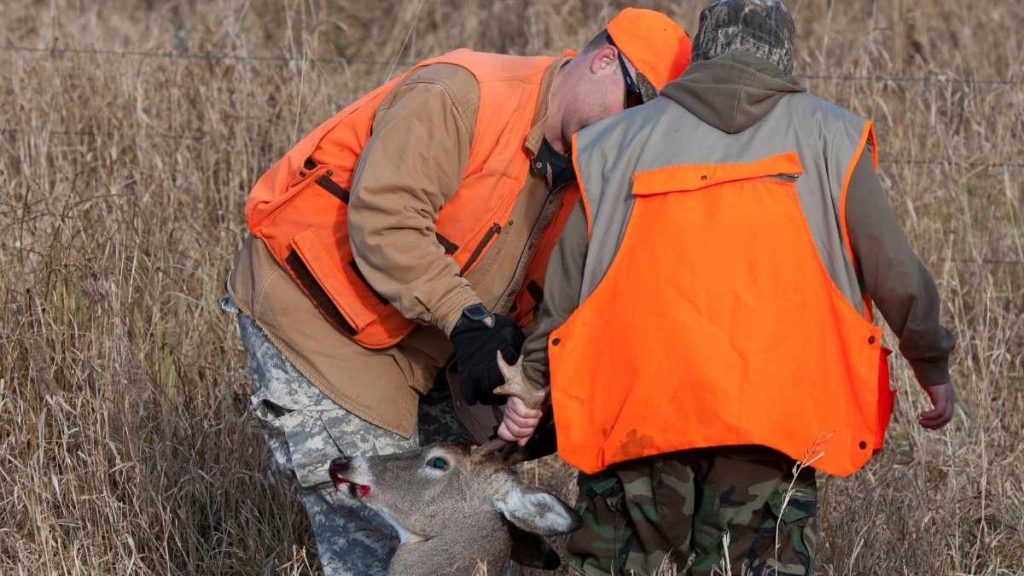 A father and son deer hunting with a crossbow