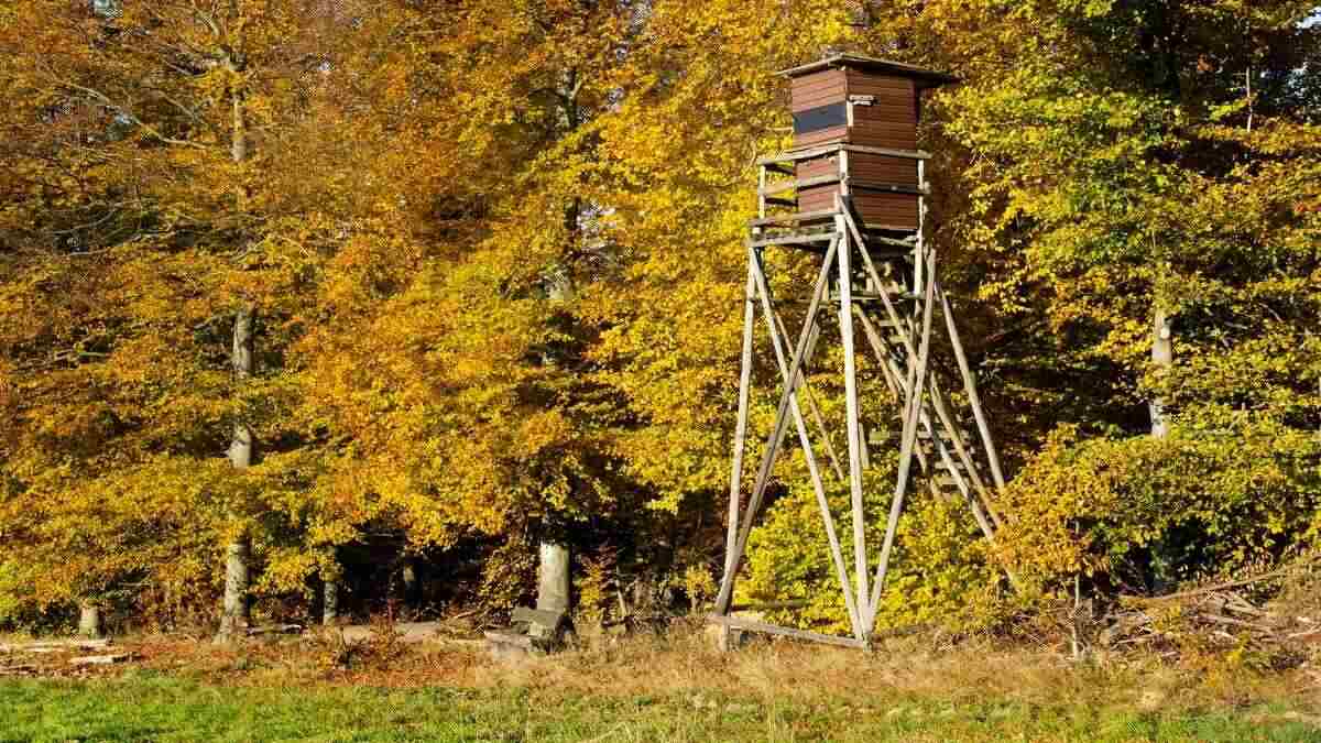 A hunting deer stand in autumnal forest