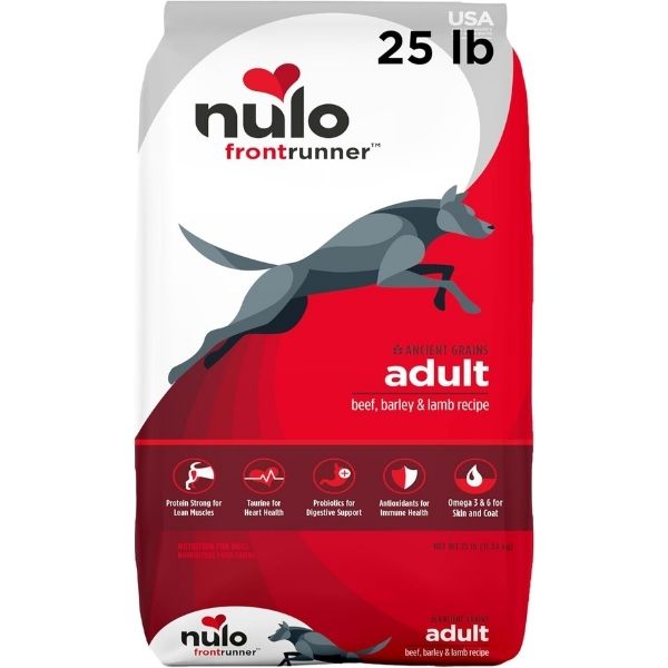 Best Dog Food for Bird Hunting Dogs