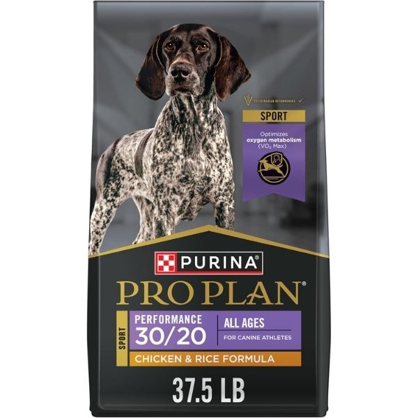 Best Dog Food for Gun Dogs