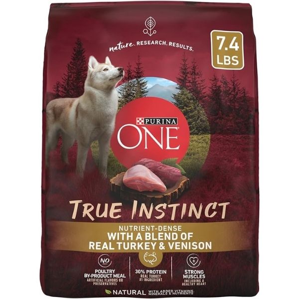 Best Dog Food for Hunting Hounds