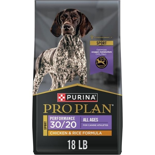Best High-Protein Dog Food for Hunting Dogs