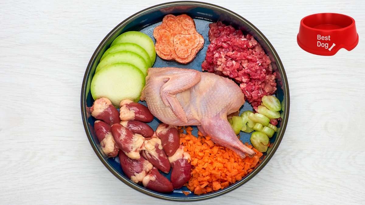 best dog food for hunting dogs