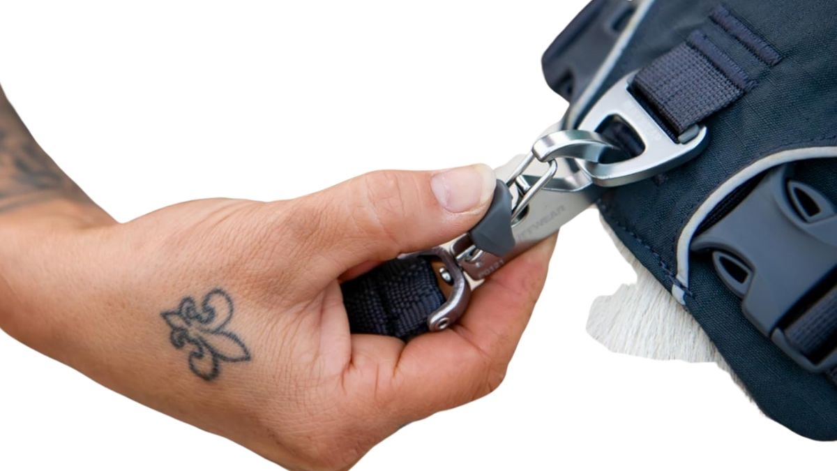 ruffwear front range dog harness leash attachments