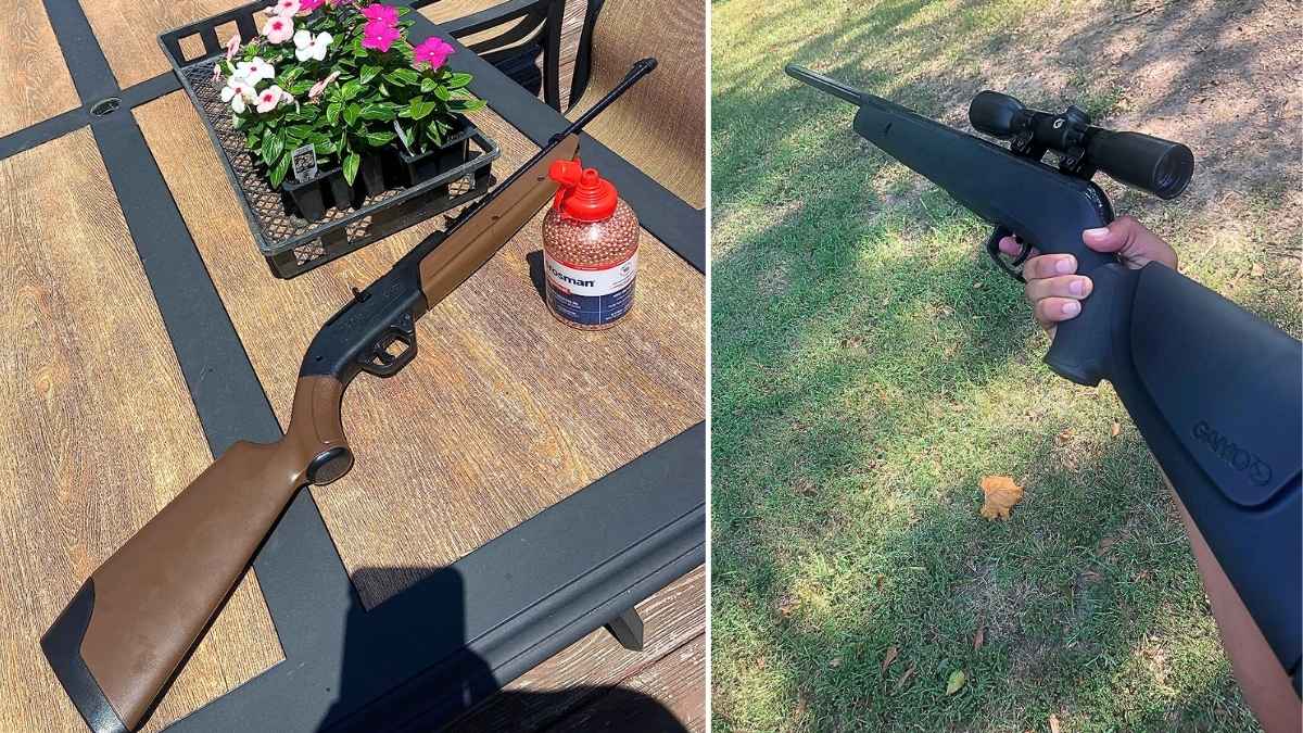 Best Pellet Guns For Hunting