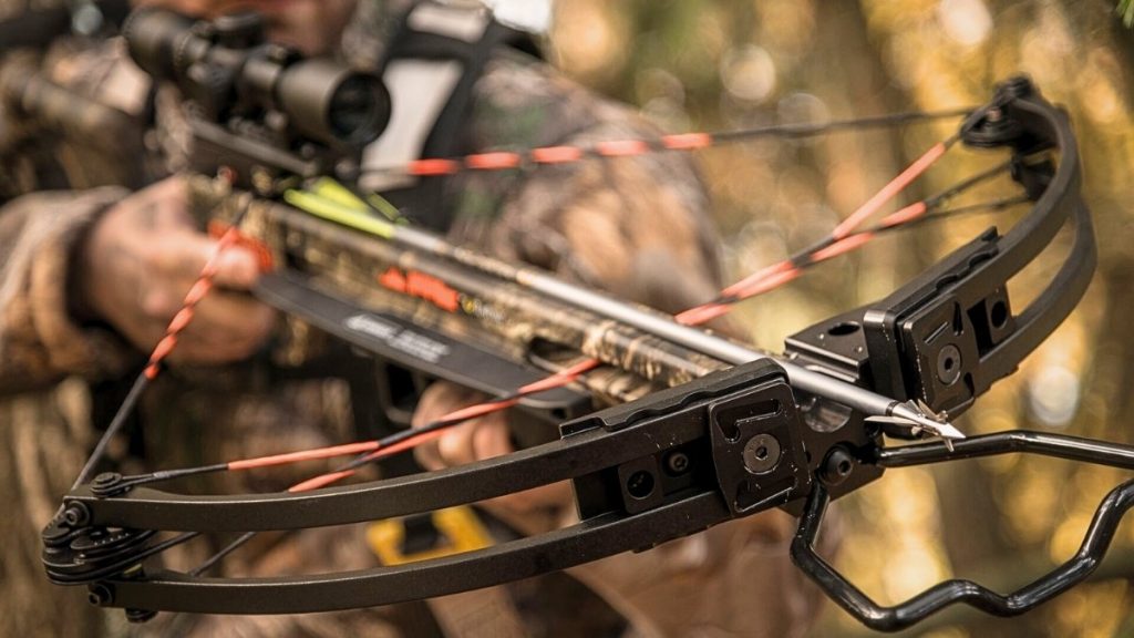 Best Crossbow for Hunting